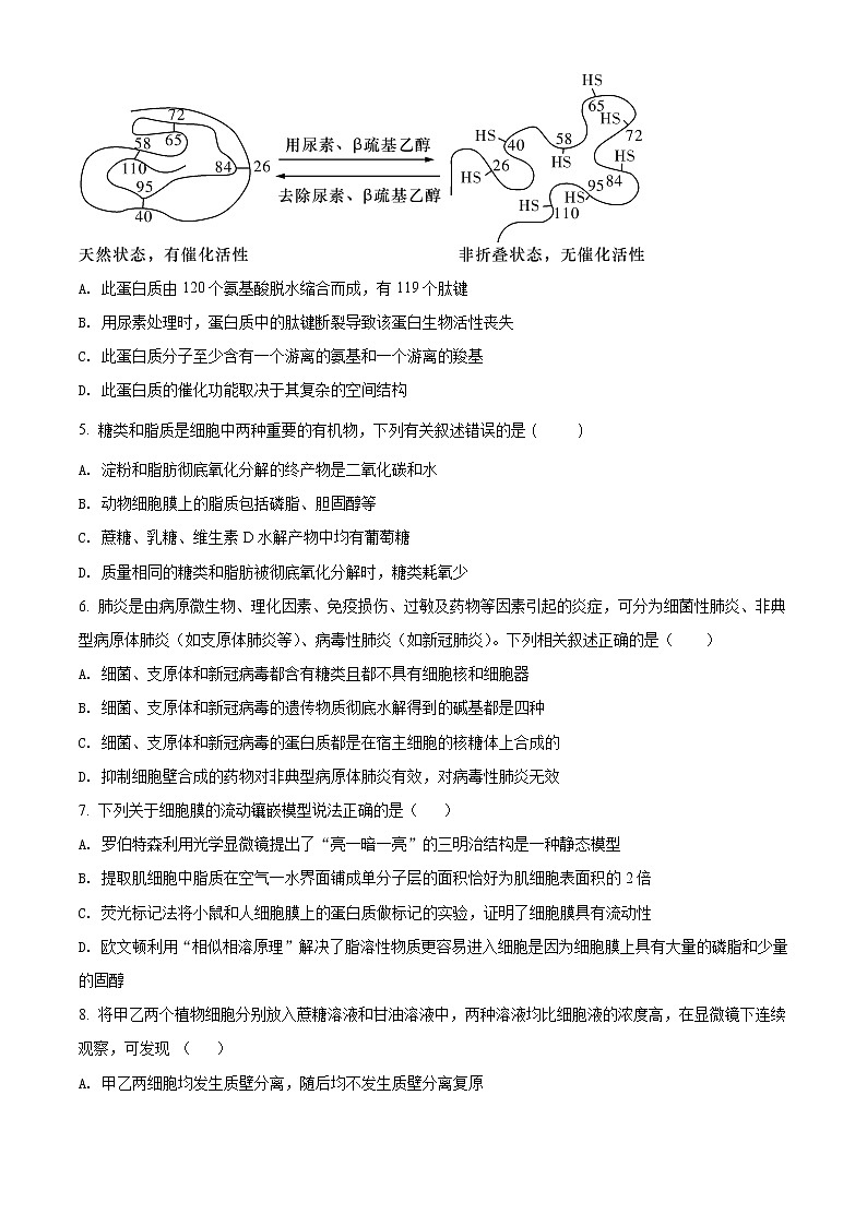 湖南师范大学附中2021-2022学年高一上学期期末生物试题无答案第2页