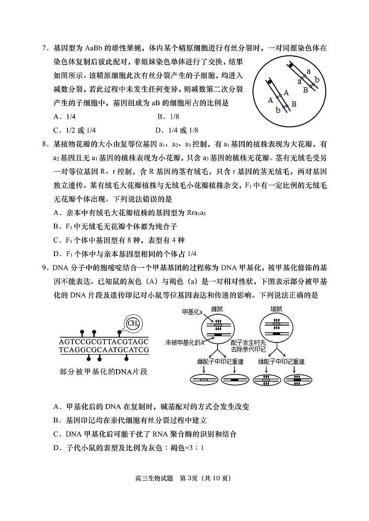 山东省青岛四区2023届高三生物上学期期中考试试题(PDF版附答案)第3页