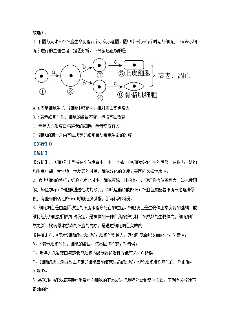 湖南省娄底市2021-2022学年高三生物上学期期末教学质量检测(Word版附解析)第2页