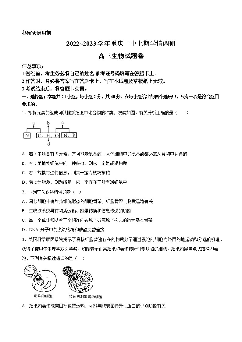 重庆市第一中学2022-2023学年高三上学期12月月考生物试题(Word版附答案)第1页