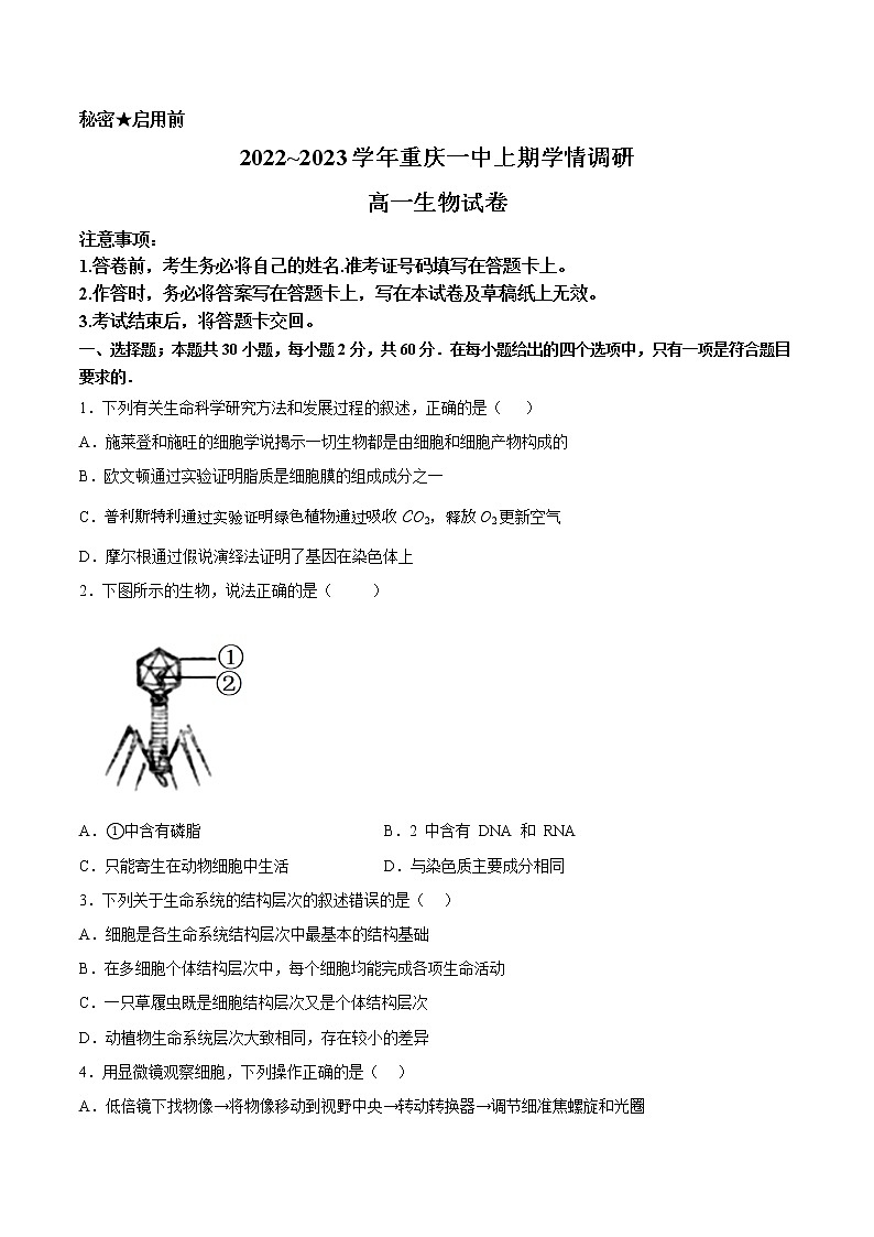 重庆市第一中学2022-2023学年高一生物上学期12月月考试题(Word版附答案)第1页