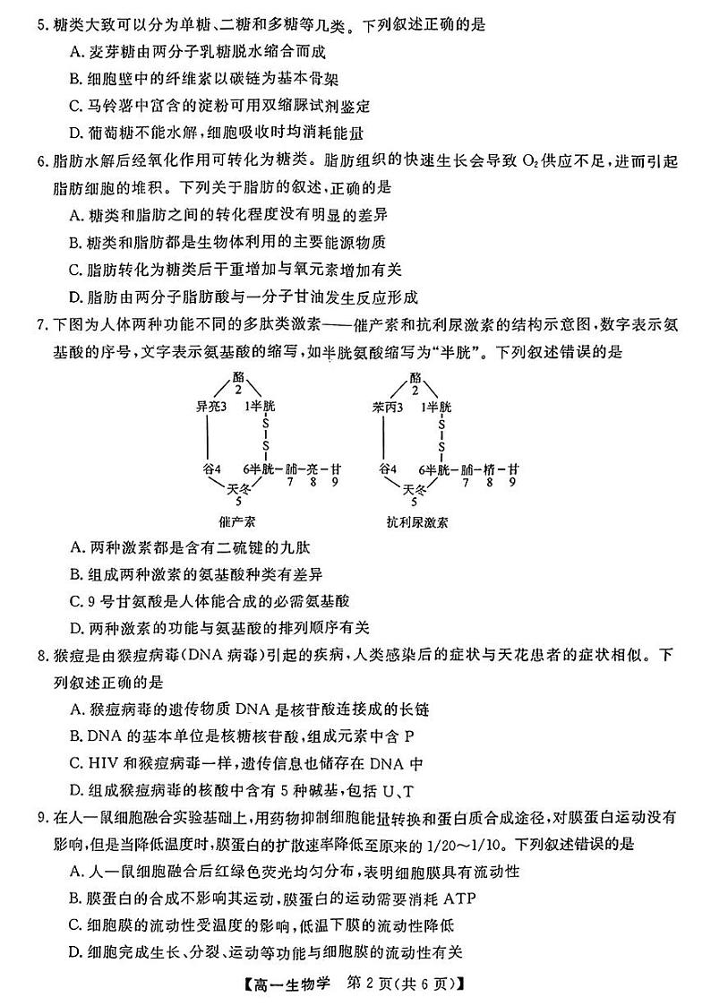 2022-2023学年广西柳州市等4地柳州铁一中学等学校高一上学期12月模拟选科大联考试题 生物 PDF第2页