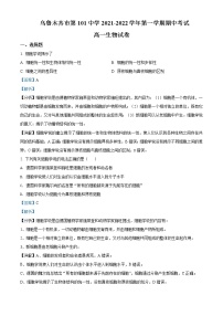 2021-2022学年新疆乌鲁木齐市第101中学高一上学期期中考试生物试题含答案