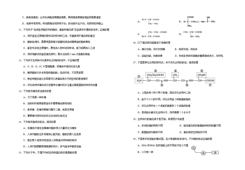 2022-2023学年宁夏回族自治区银川一中高一上学期期中考试生物试题含答案02