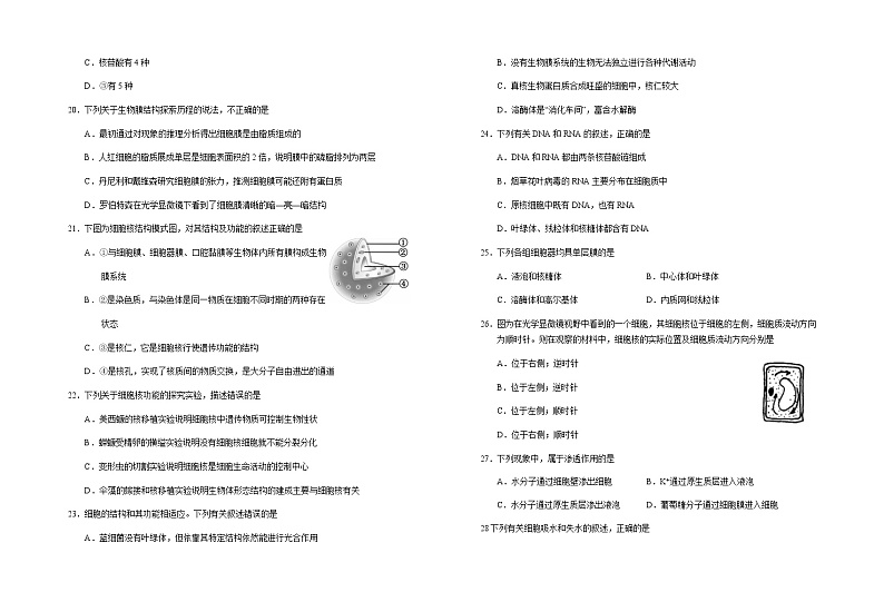 2022-2023学年宁夏回族自治区银川一中高一上学期期中考试生物试题含答案03