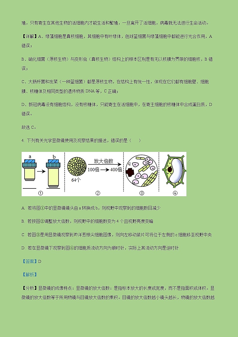 2022-2023学年天津市河西区高一上学期期中生物试题含解析第3页