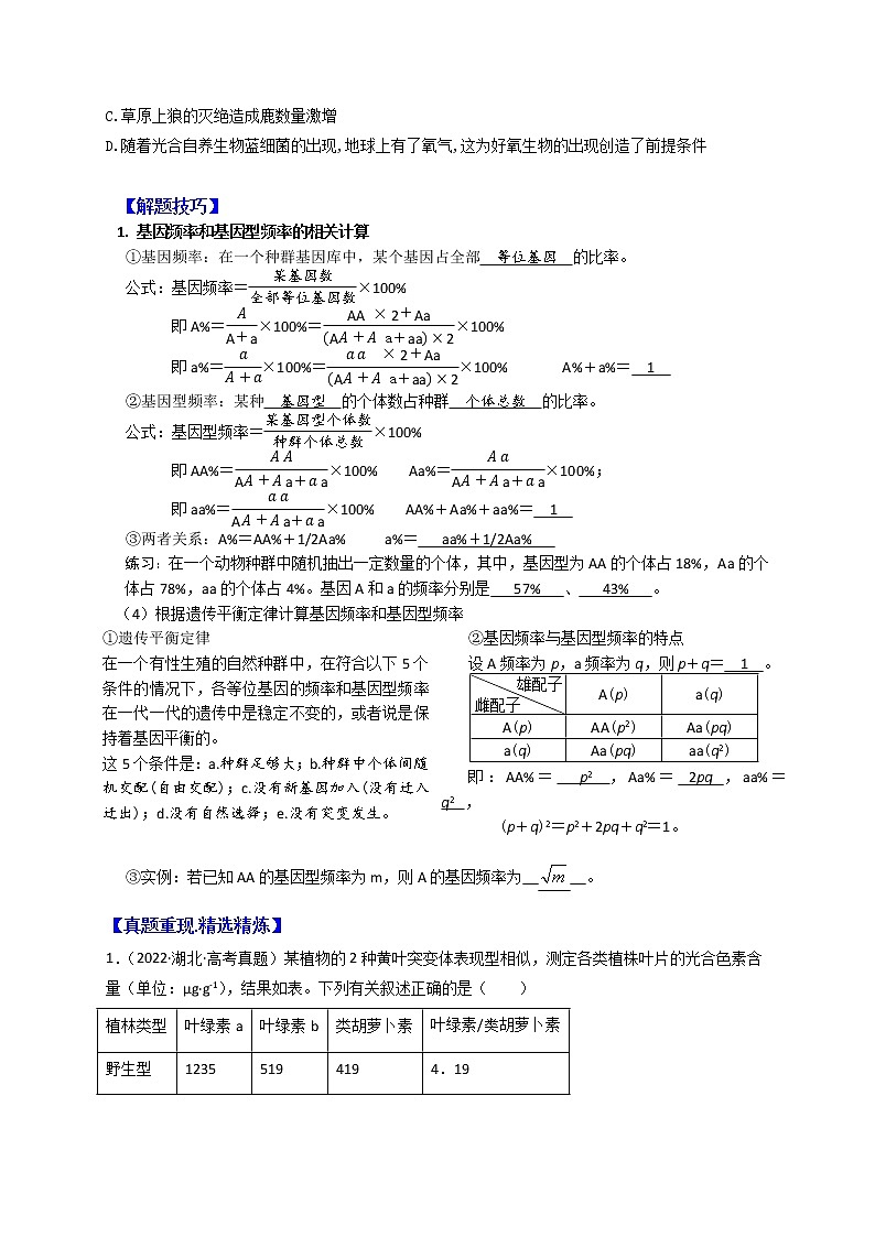 专题12 生物的进化(原卷版)第3页