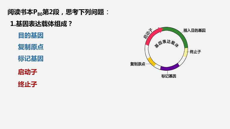 基因表达载体的构建、目的基因的导入课件PPT第4页