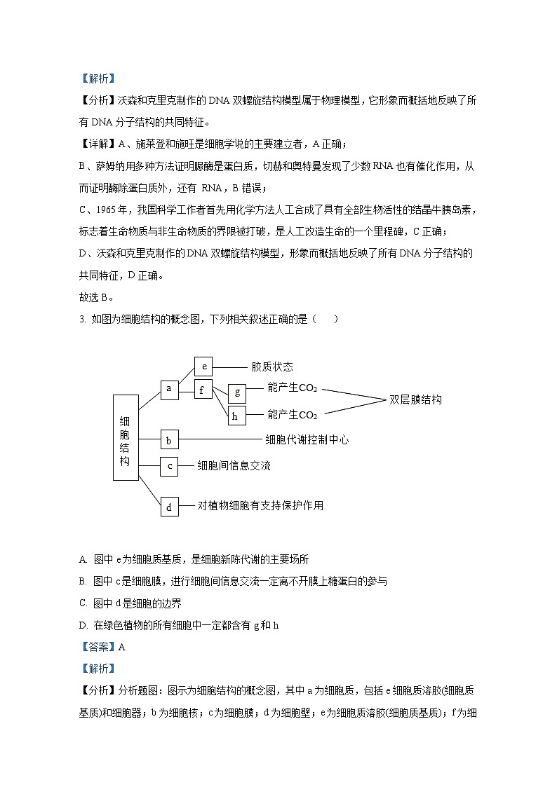甘肃省兰州市西北师范大学附属中学2022-2023学年高三生物上学期期中考试试卷(Word版附解析)02