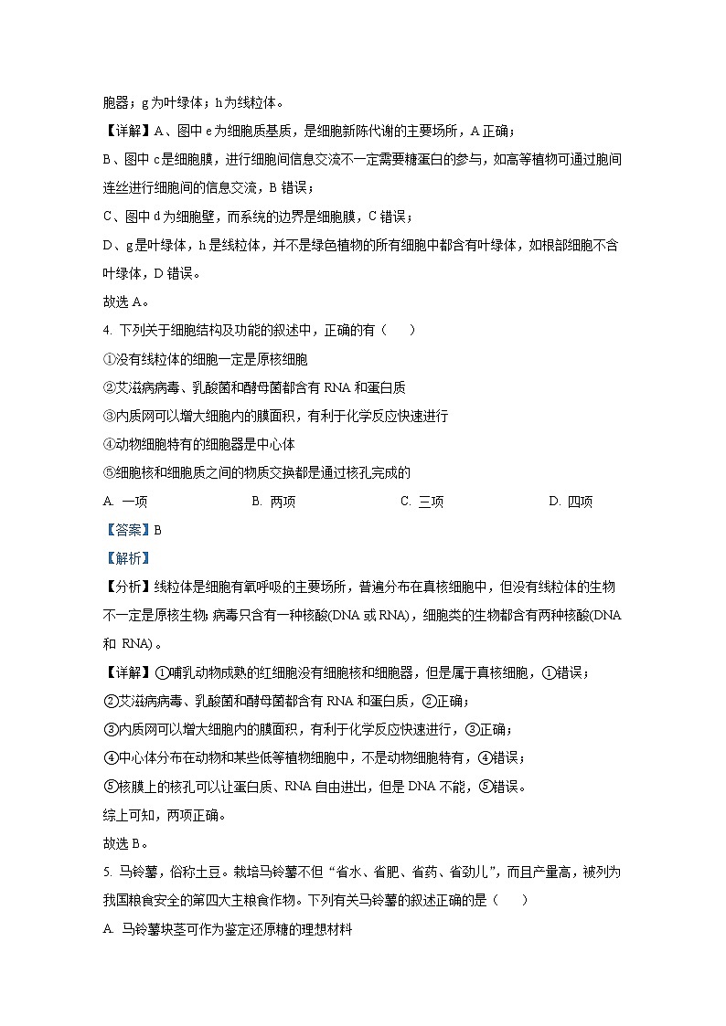 甘肃省兰州市西北师范大学附属中学2022-2023学年高三生物上学期期中考试试卷(Word版附解析)03