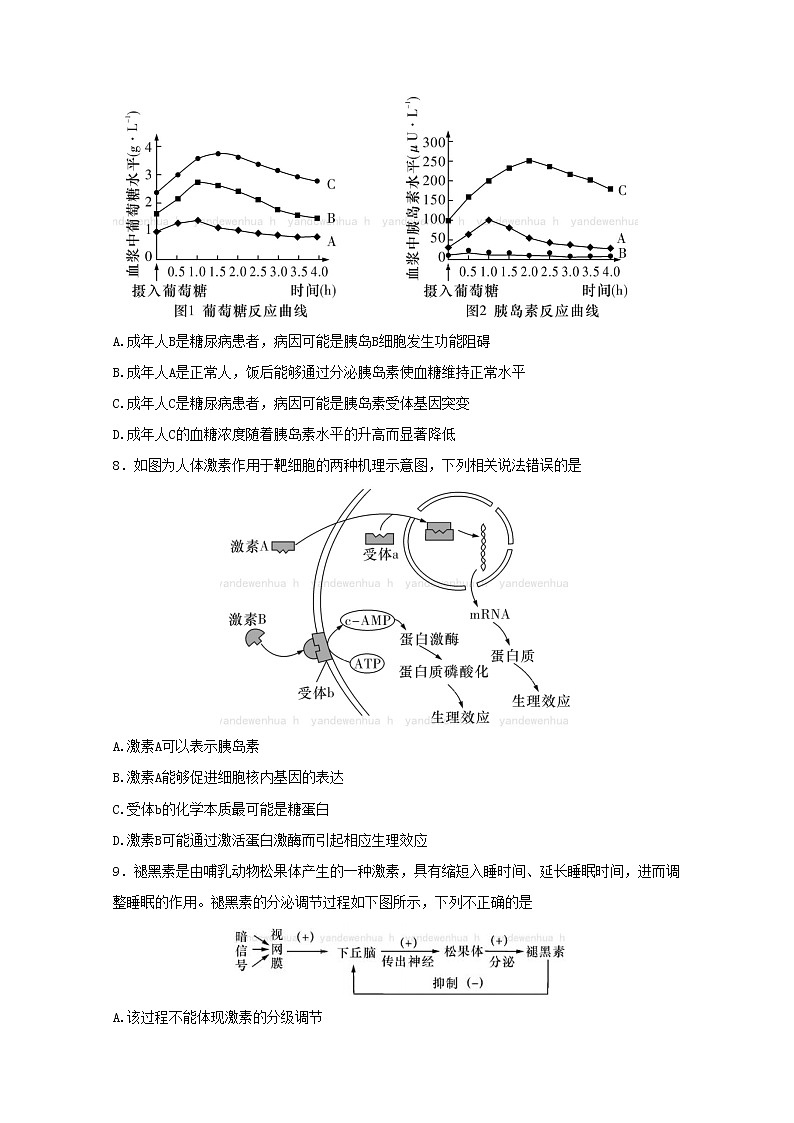 湖南师范大学附属中学2022-2023学年高二生物上学期期中考试试卷(Word版附解析)第3页