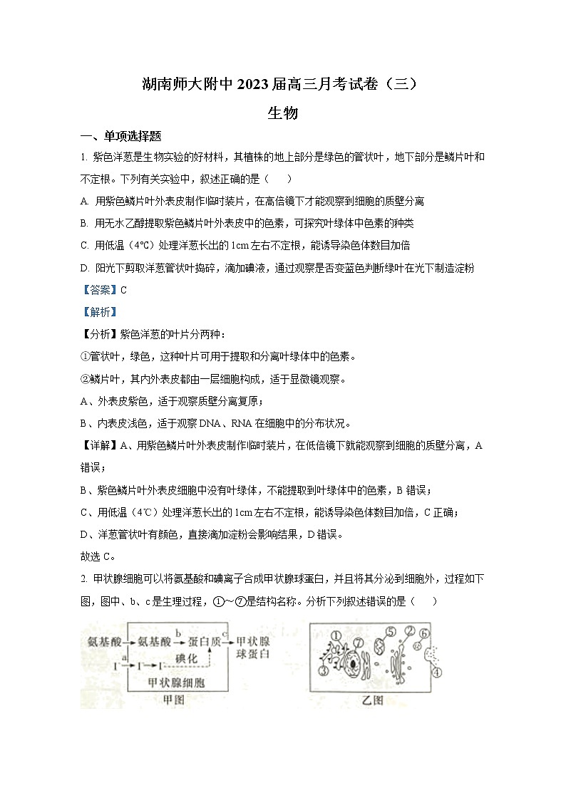 湖南师范大学附属中学2022-2023学年高三生物上学期月考(三)试题(Word版附解析)01