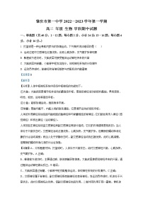 廣東省肇慶市一中2022-2023學(xué)年高二生物上學(xué)期期中考試試卷（Word版附解析）