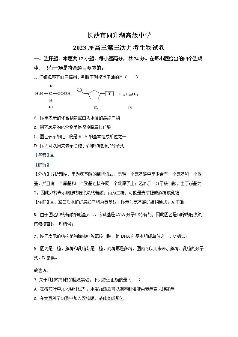 湖南省长沙市同升湖实验学校2022-2023学年高三生物上学期第三次月考试题(Word版附解析)第1页