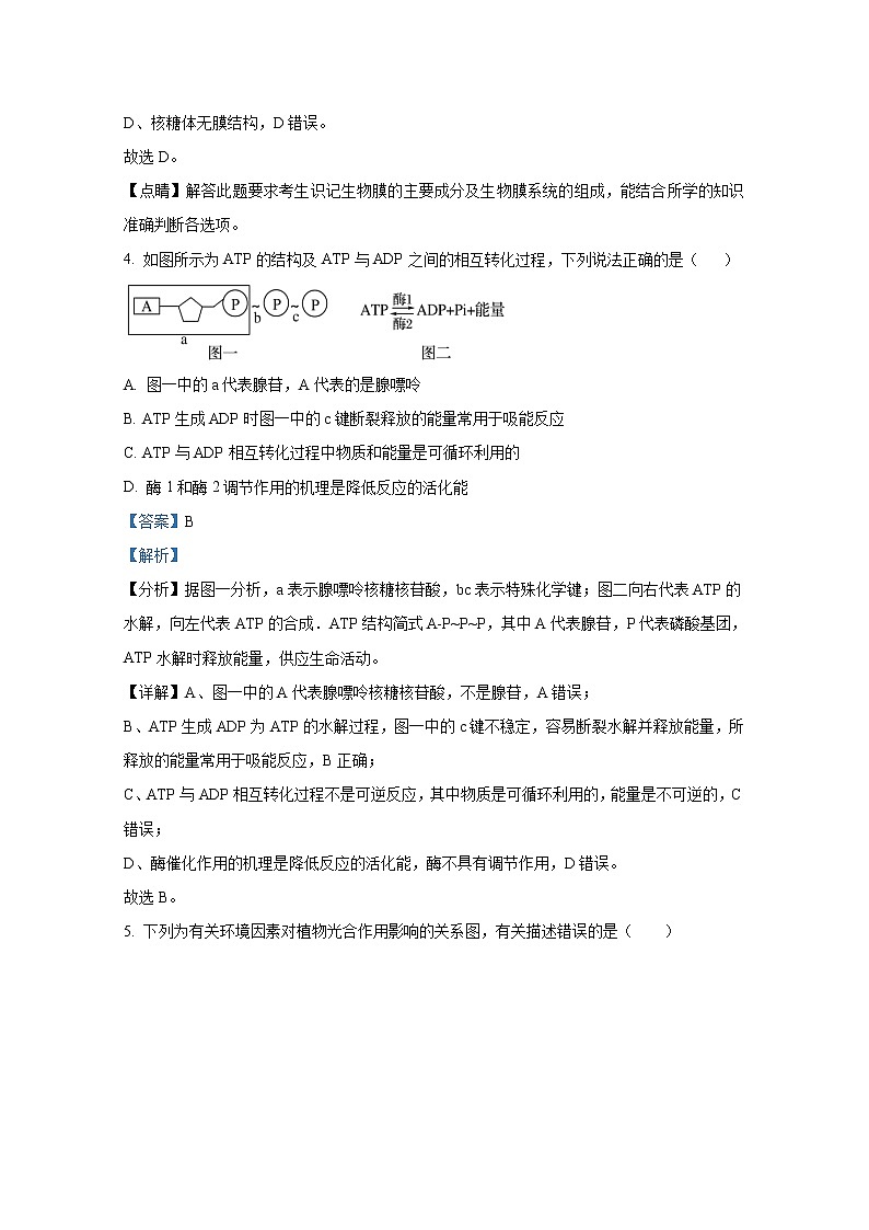 湖南省长沙市同升湖实验学校2022-2023学年高三生物上学期第三次月考试题(Word版附解析)第3页