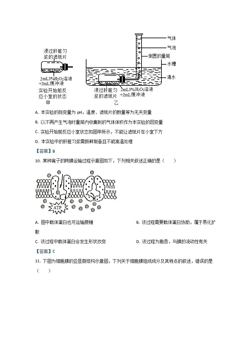 2022绍兴高一上学期期末调测试题生物含答案第3页
