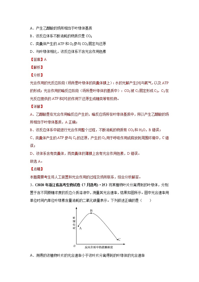 (新高考)高考生物二轮复习考点精讲练习6光合作用与能量转化(含解析)第2页