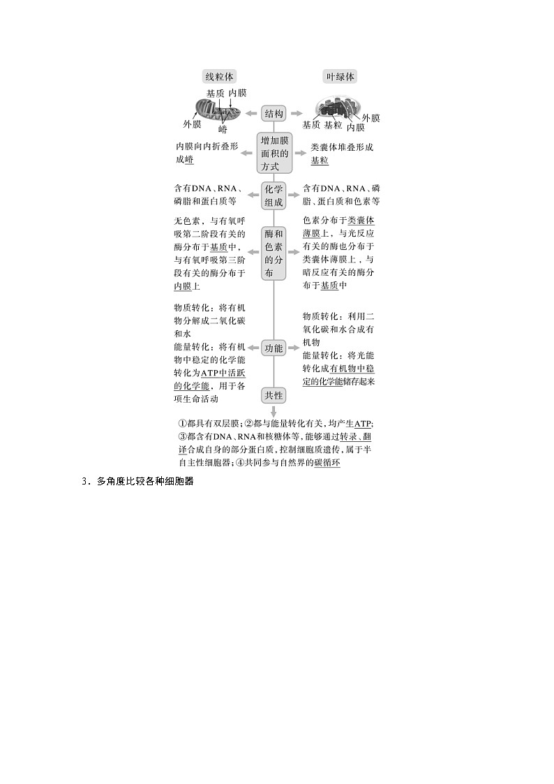 (新高考)2023年高考生物一轮复习讲义第2单元第2课时细胞器之间的分工(含解析)第2页