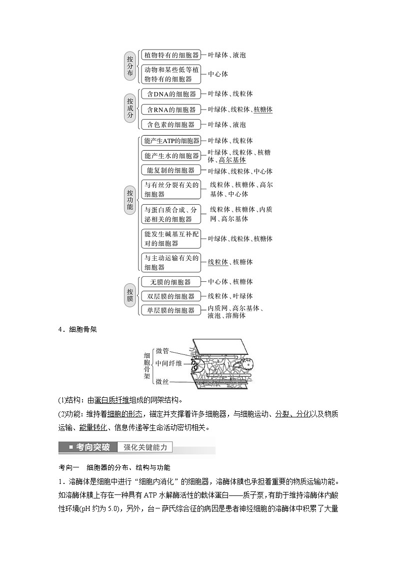 (新高考)2023年高考生物一轮复习讲义第2单元第2课时细胞器之间的分工(含解析)第3页