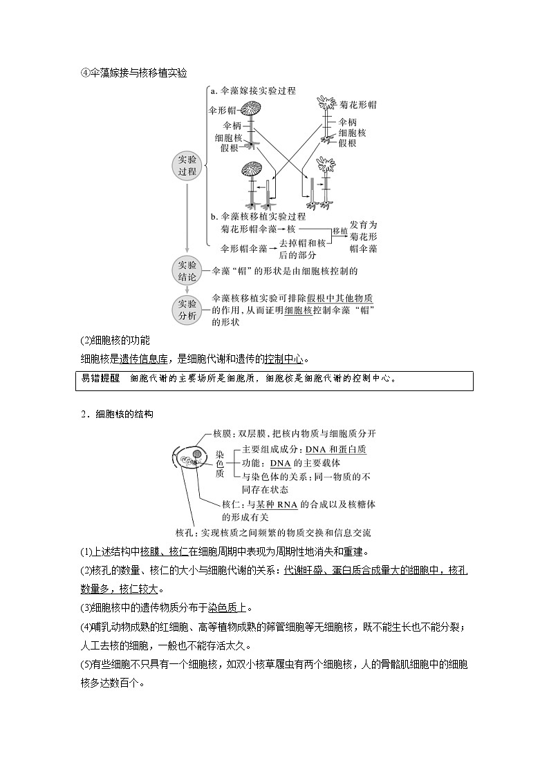 (新高考)2023年高考生物一轮复习讲义第2单元第4课时细胞核的结构和功能(含解析)第2页