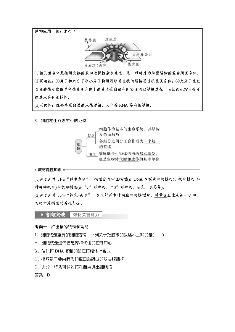 (新高考)2023年高考生物一轮复习讲义第2单元第4课时细胞核的结构和功能(含解析)第3页