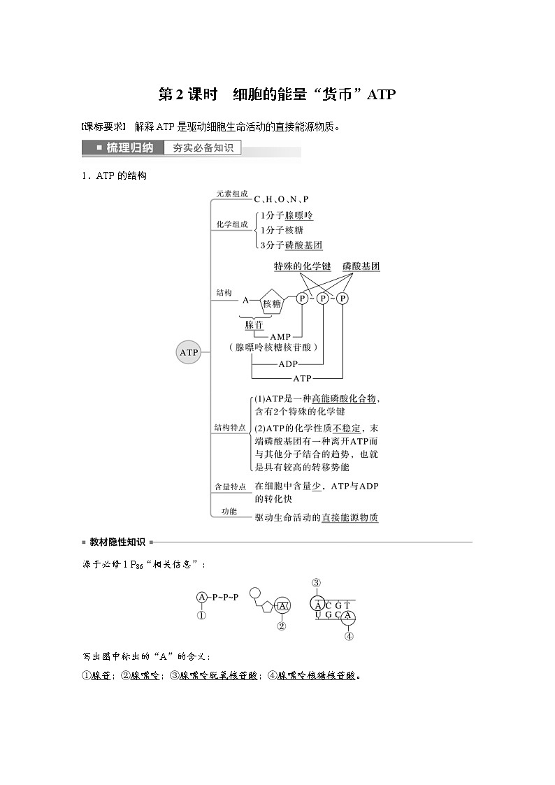 (新高考)2023年高考生物一轮复习讲义第3单元第2课时细胞的能量“货币”ATP(含解析)第1页