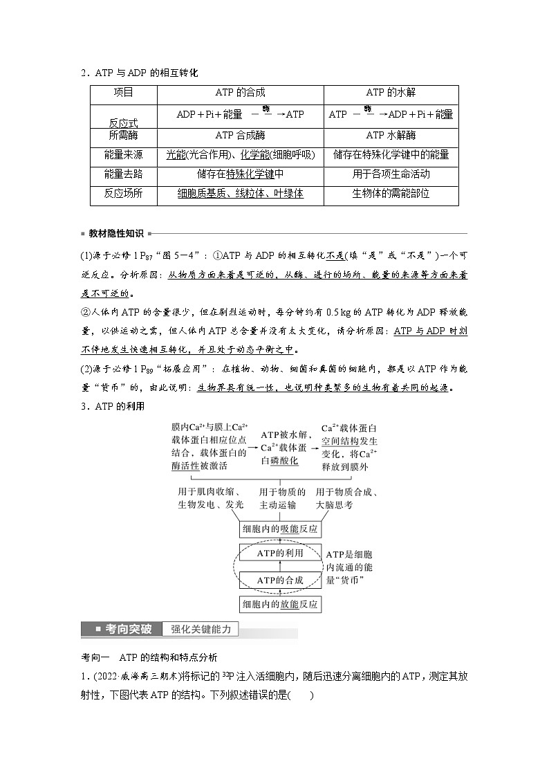 (新高考)2023年高考生物一轮复习讲义第3单元第2课时细胞的能量“货币”ATP(含解析)第2页