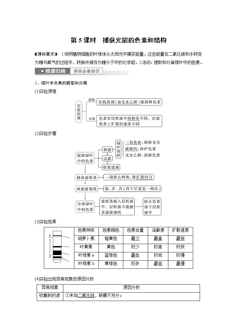 (新高考)2023年高考生物一轮复习讲义第3单元第5课时捕获光能的色素和结构(含解析)第1页