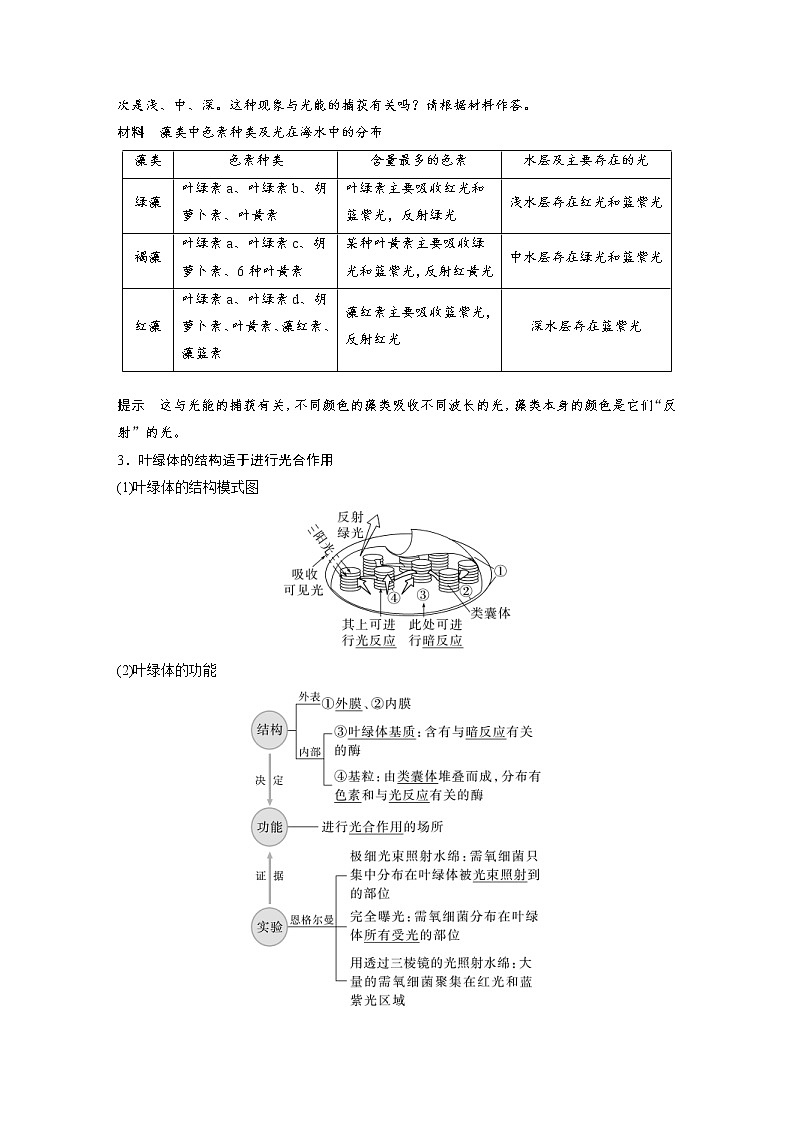 (新高考)2023年高考生物一轮复习讲义第3单元第5课时捕获光能的色素和结构(含解析)第3页
