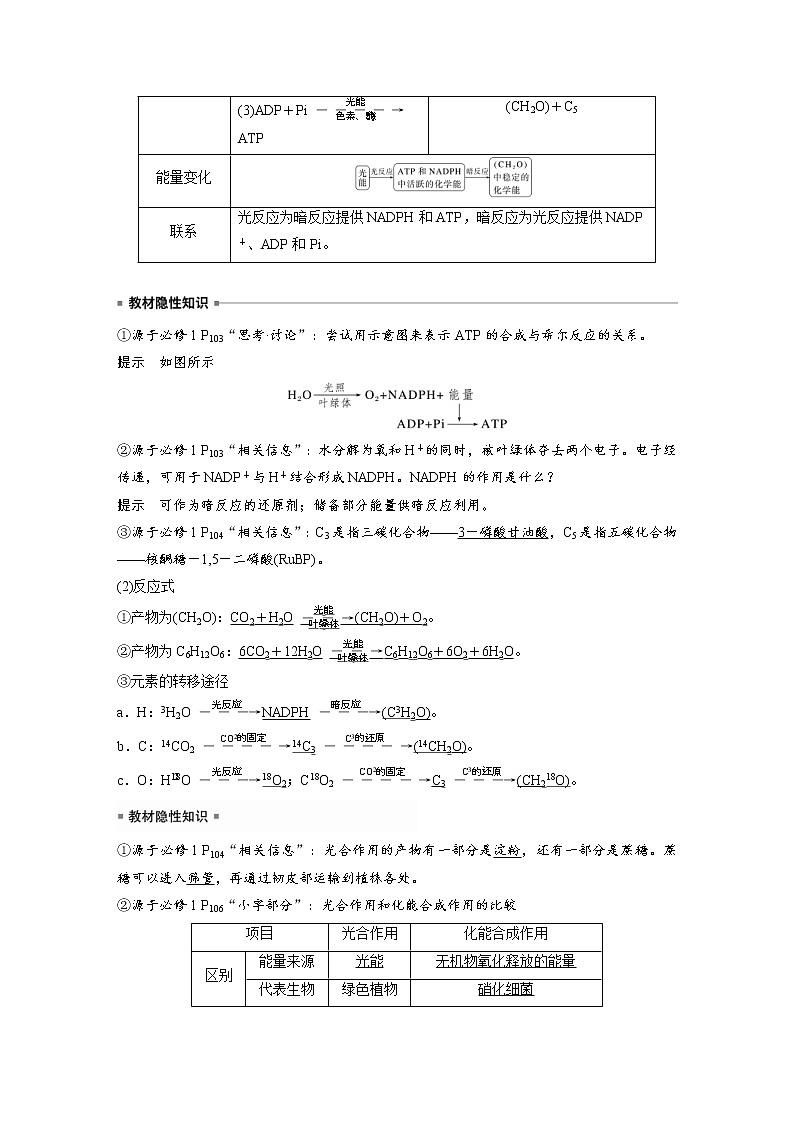 (新高考)2023年高考生物一轮复习讲义第3单元第6课时光合作用的原理(含解析)第2页