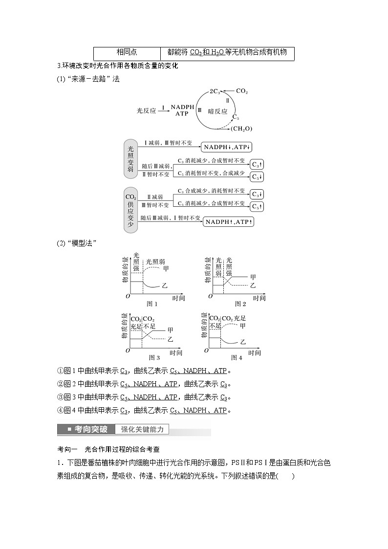 (新高考)2023年高考生物一轮复习讲义第3单元第6课时光合作用的原理(含解析)第3页