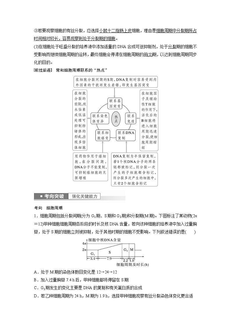 (新高考)2023年高考生物一轮复习讲义第4单元第1课时细胞的增殖(含解析)第3页