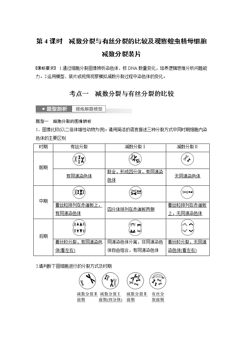 (新高考)2023年高考生物一轮复习讲义第4单元第4课时减数分裂与有丝分裂的比较及观察蝗虫精母细胞减数分裂装片(含解析)01