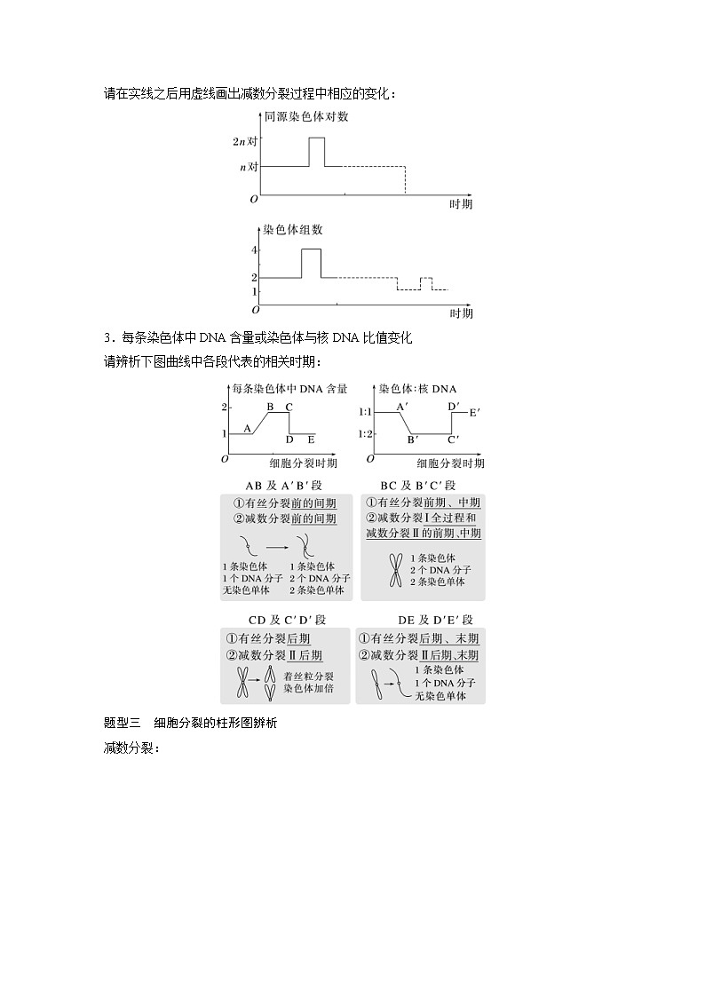 (新高考)2023年高考生物一轮复习讲义第4单元第4课时减数分裂与有丝分裂的比较及观察蝗虫精母细胞减数分裂装片(含解析)03