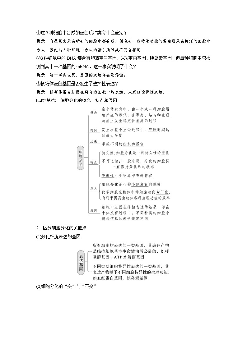(新高考)2023年高考生物一轮复习讲义第4单元第5课时细胞的分化、衰老和死亡(含解析)02