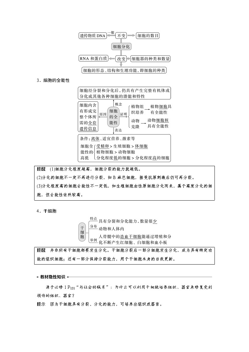 (新高考)2023年高考生物一轮复习讲义第4单元第5课时细胞的分化、衰老和死亡(含解析)03