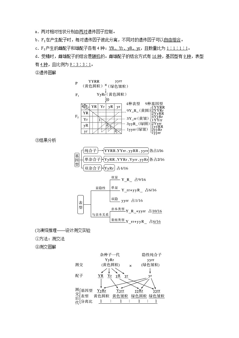 (新高考)2023年高考生物一轮复习讲义第5单元第3课时自由组合定律的发现及应用(含解析)第2页