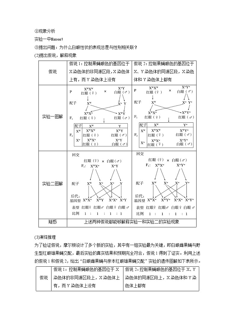 (新高考)2023年高考生物一轮复习讲义第5单元第5课时基因在染色体上的假说与证据(含解析)第2页