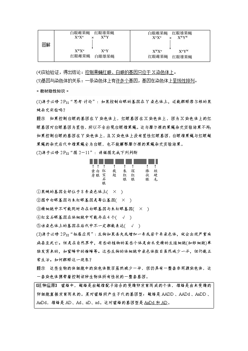 (新高考)2023年高考生物一轮复习讲义第5单元第5课时基因在染色体上的假说与证据(含解析)第3页