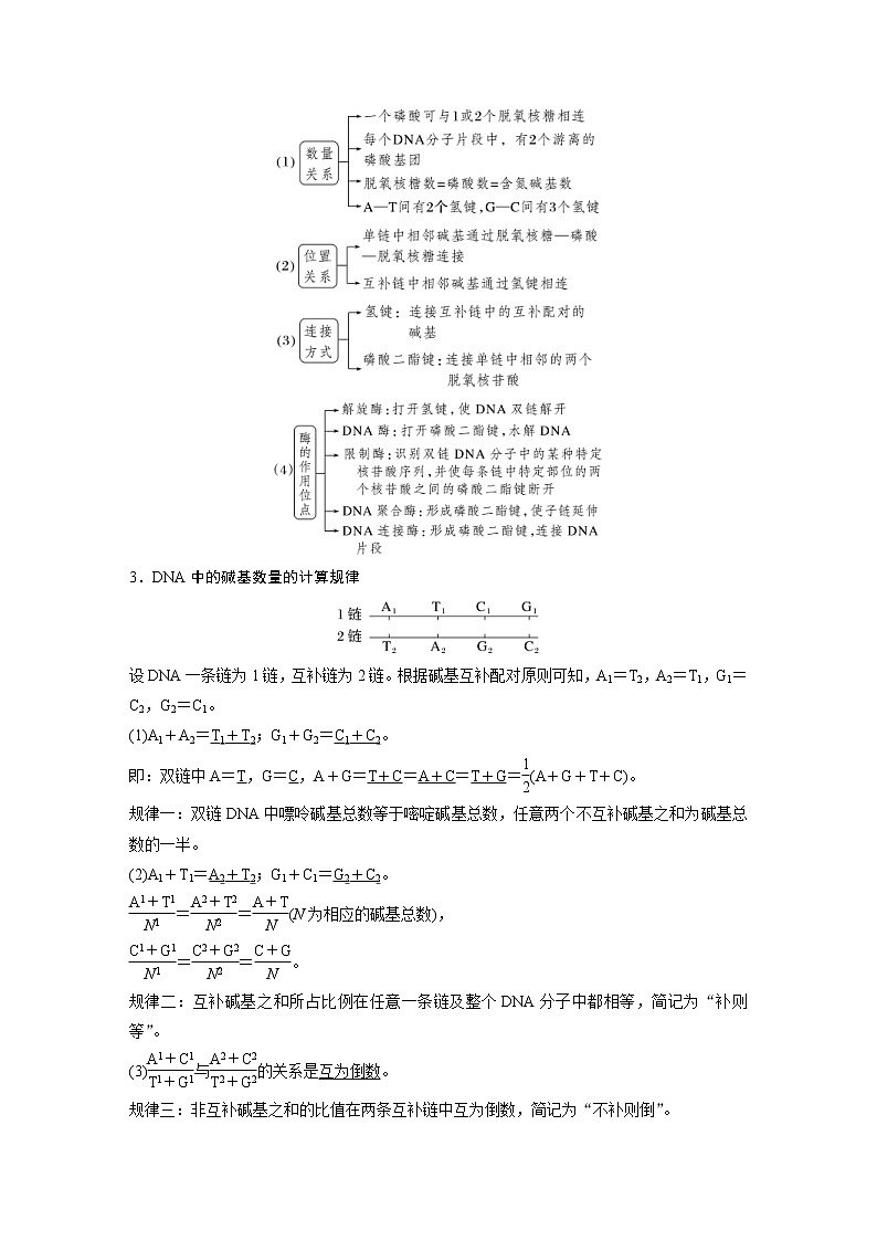 (新高考)2023年高考生物一轮复习讲义第6单元第2课时DNA分子的结构及基因的概念(含解析)第3页