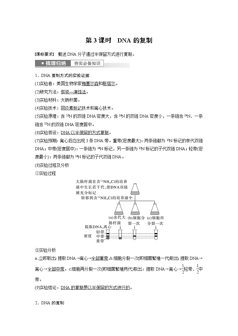 (新高考)2023年高考生物一輪復(fù)習(xí)講義第6單元第3課時(shí)DNA的復(fù)制(含解析)第1頁(yè)
