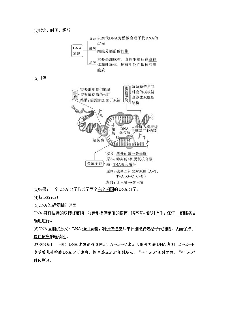 (新高考)2023年高考生物一輪復(fù)習(xí)講義第6單元第3課時(shí)DNA的復(fù)制(含解析)第2頁(yè)