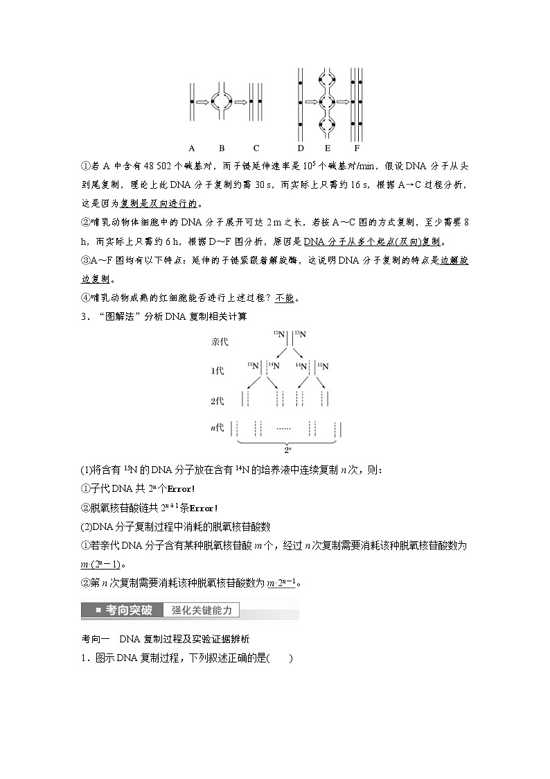 (新高考)2023年高考生物一輪復(fù)習(xí)講義第6單元第3課時(shí)DNA的復(fù)制(含解析)第3頁(yè)