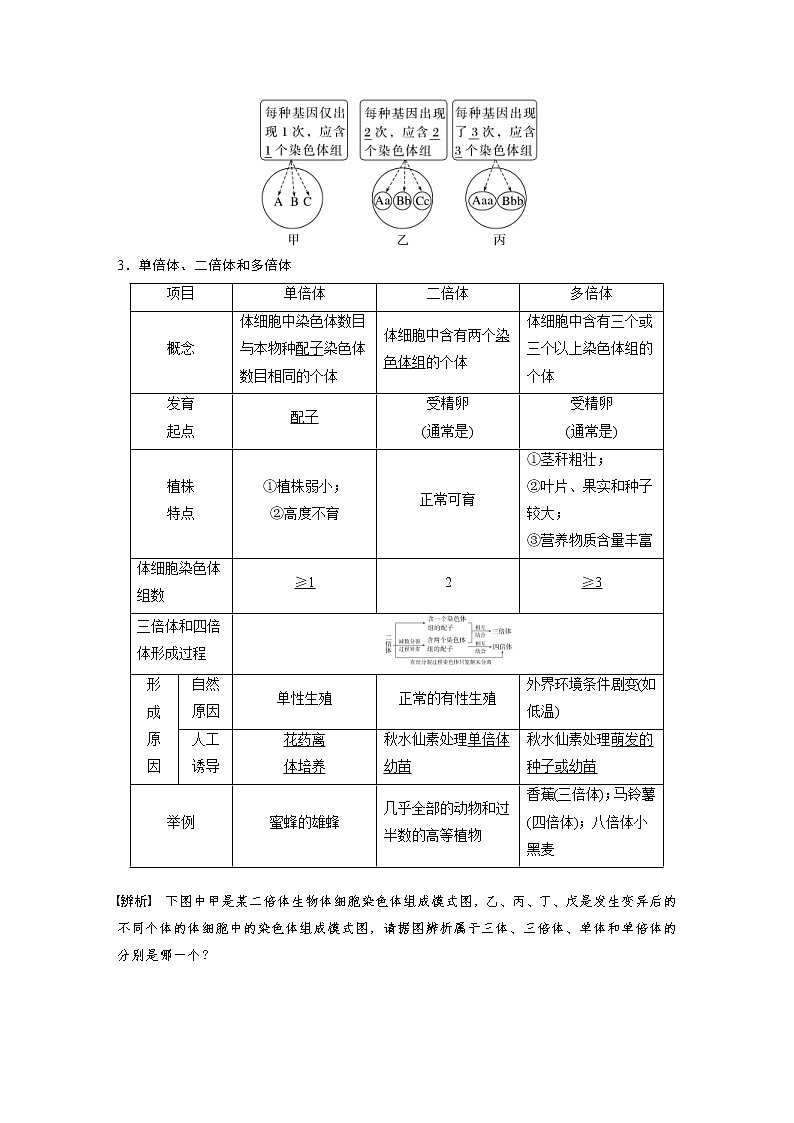 (新高考)2023年高考生物一輪復(fù)習(xí)講義第7單元第2課時(shí)染色體變異(含解析)第2頁(yè)