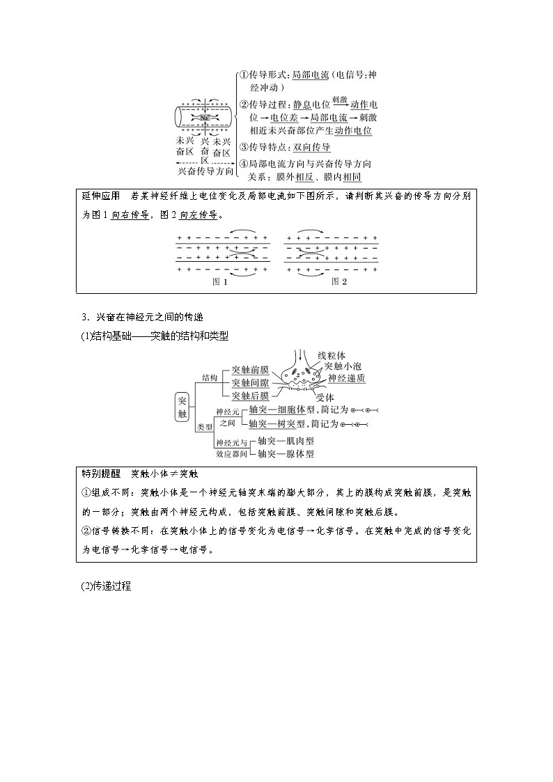 (新高考)2023年高考生物一轮复习讲义第8单元第3课时神经冲动的产生和传导、神经系统的分级调节及人脑的高级功能(含解析)02