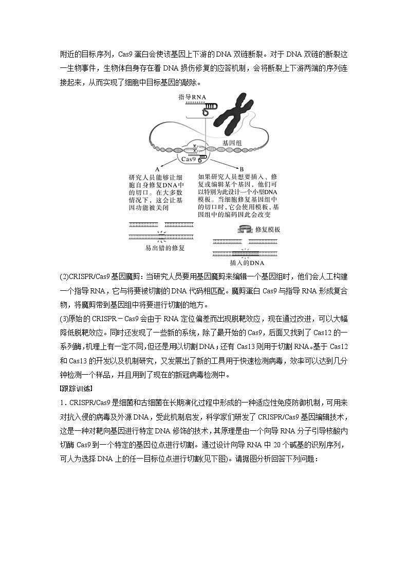 (新高考)2023年高考生物一輪復(fù)習(xí)講義第10單元解惑練5CRISPRCas9技術(shù)(含解析)第2頁