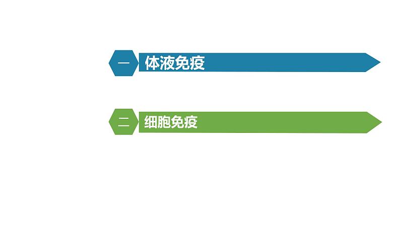 4.2特异性免疫课件PPT02