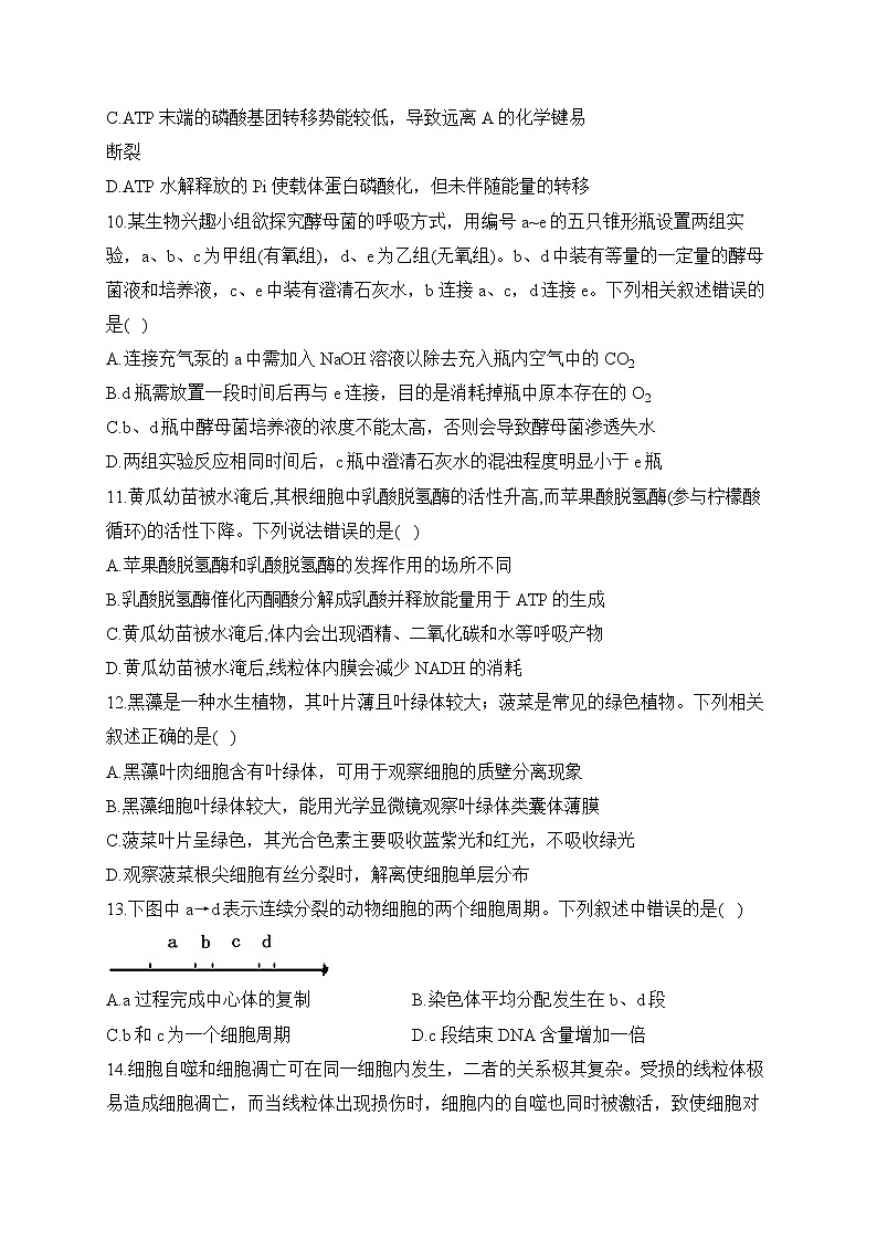 2022-2023学年人教版(2019)高一生物学上学期期末达标测试卷(A卷)第3页