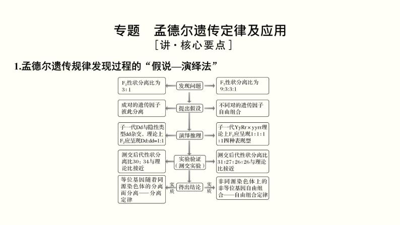 (新高考)高考生物一轮复习课件第六单元遗传的基本规律(含解析)03