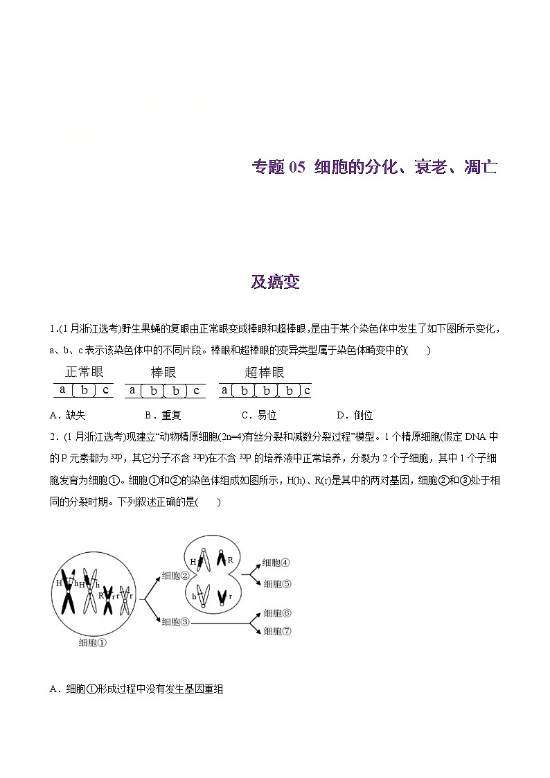 2021年高考生物真题与模拟题分类训练专题05细胞的分化、衰老、凋亡及癌变(原卷版)第1页